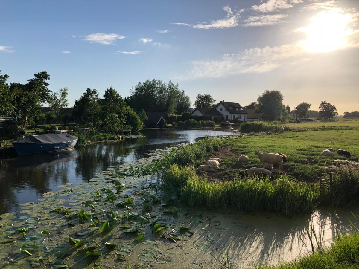 Slapen Op Het Platteland Acomodação com café da manhã Bodegraven Exterior foto