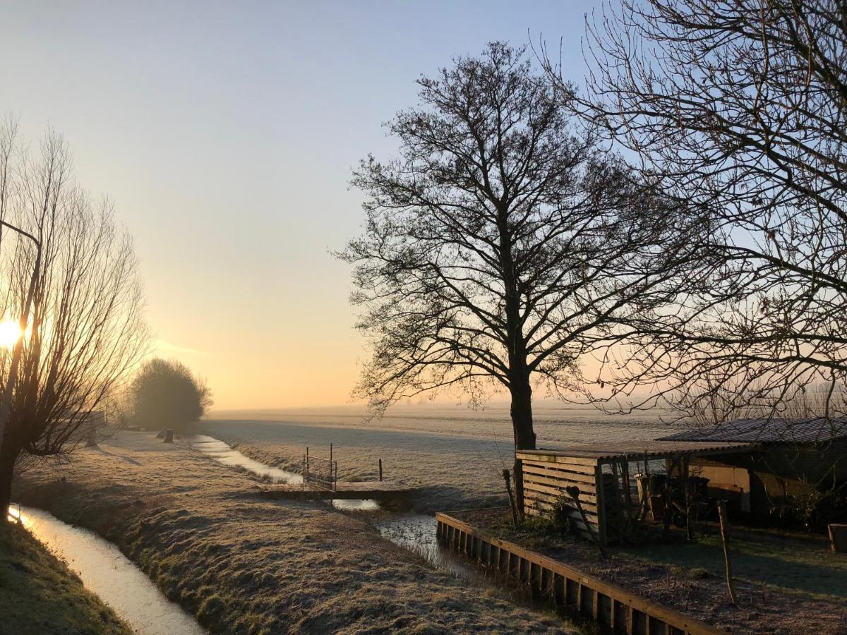 Slapen Op Het Platteland Acomodação com café da manhã Bodegraven Exterior foto