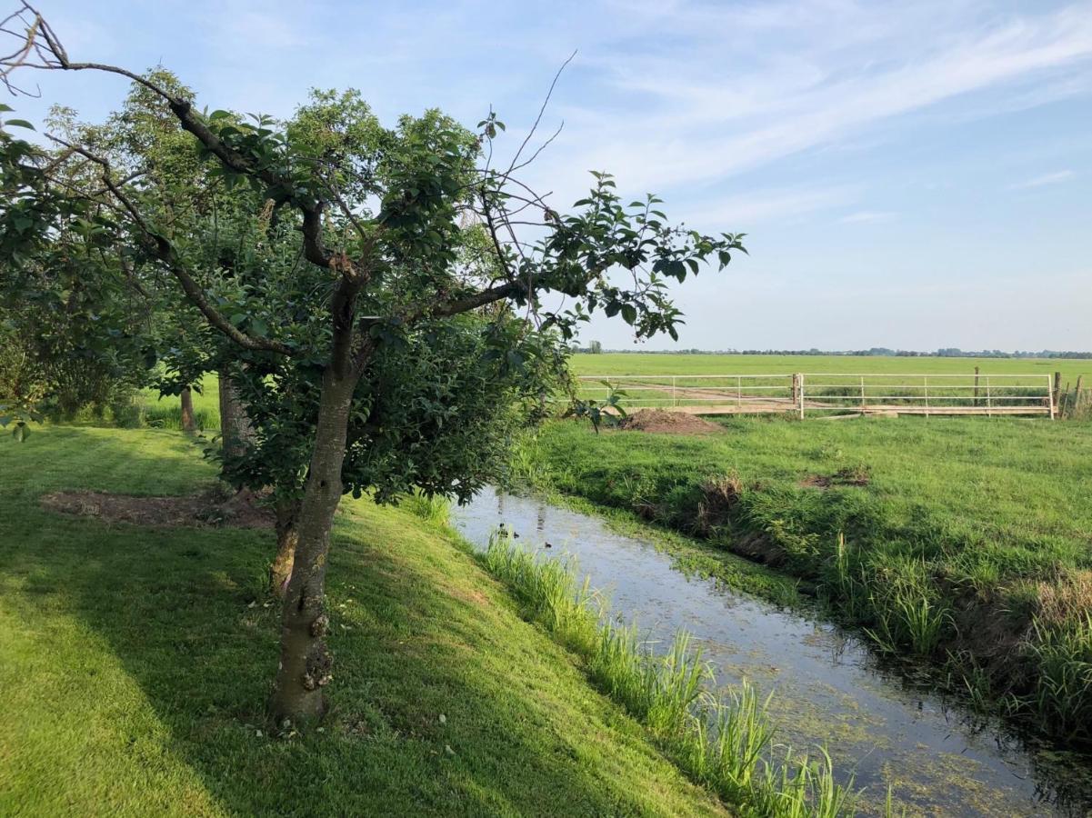 Slapen Op Het Platteland Acomodação com café da manhã Bodegraven Exterior foto
