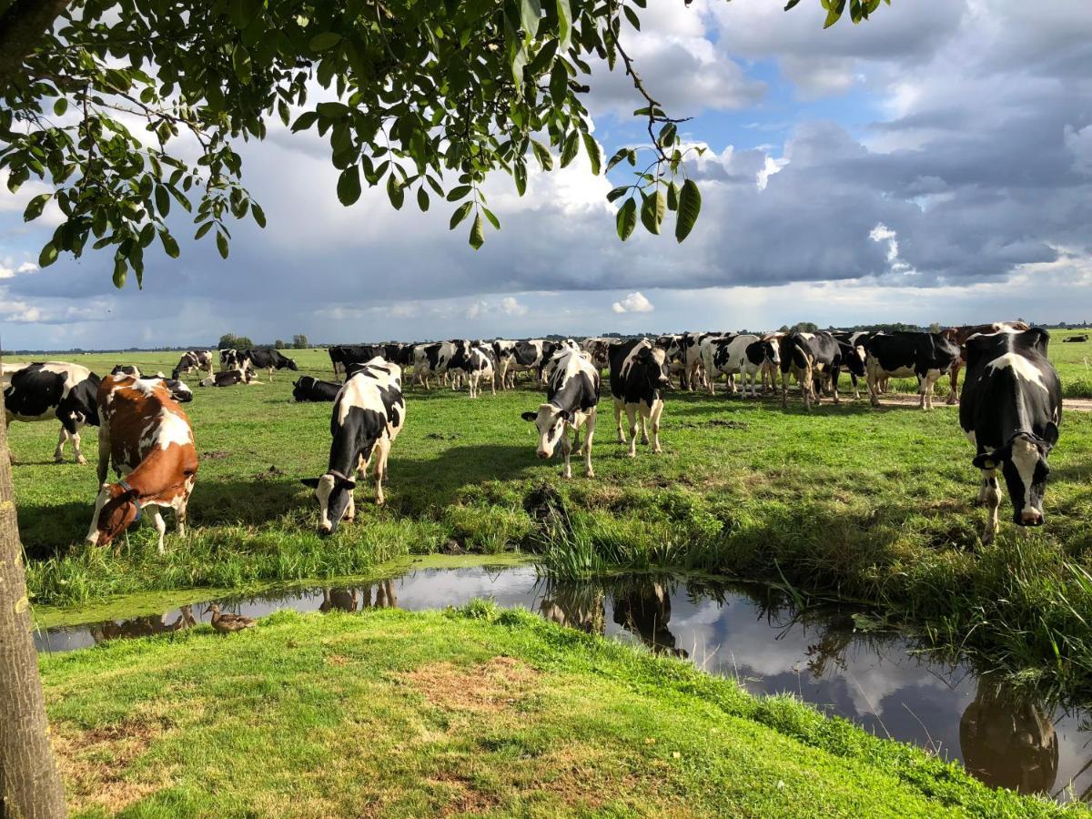 Slapen Op Het Platteland Acomodação com café da manhã Bodegraven Exterior foto