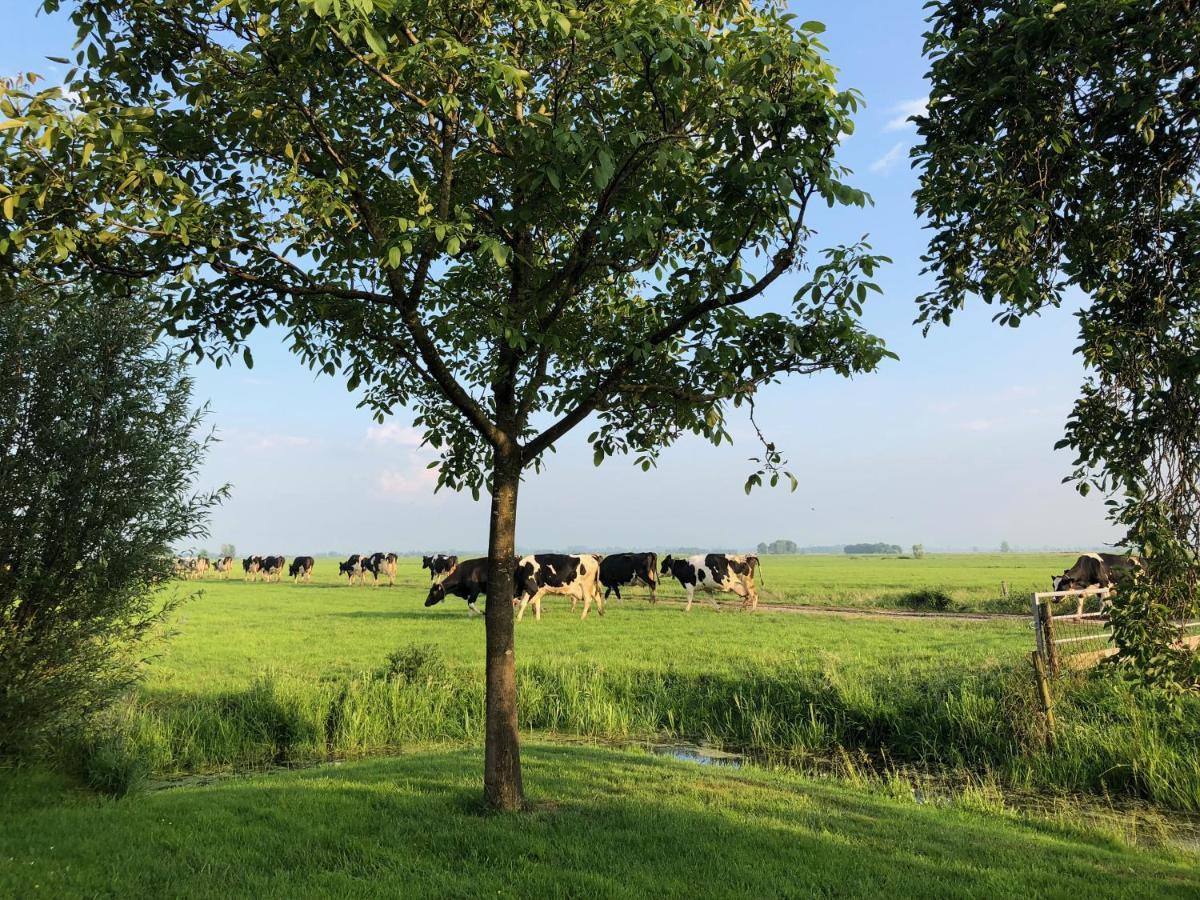 Slapen Op Het Platteland Acomodação com café da manhã Bodegraven Exterior foto